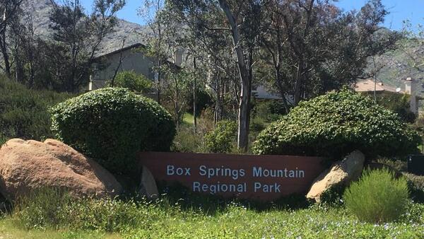 Box Springs Park