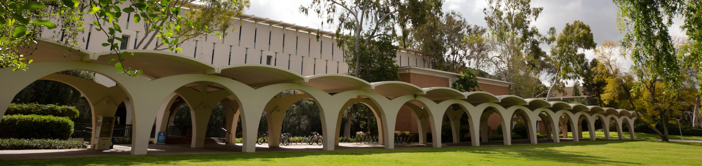 Rivera Library and lawn