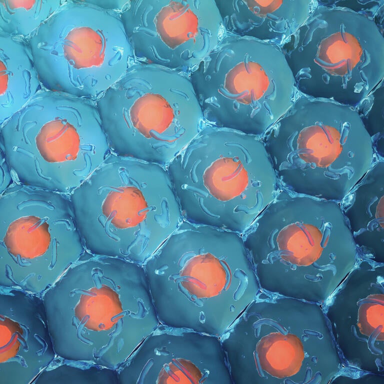 blue and red cells (c) iStock