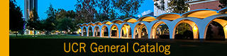 Catalog icon