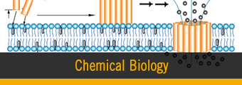 Chemical Biology icon