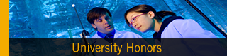 Honors icon