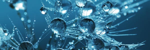 Pexels- Blue Bubbles