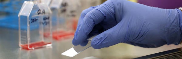 UCR-Stan Lim-Lab Experiment 