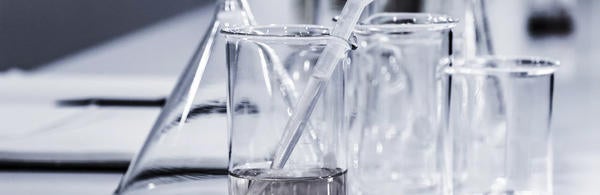 Unsplash Lab Vases