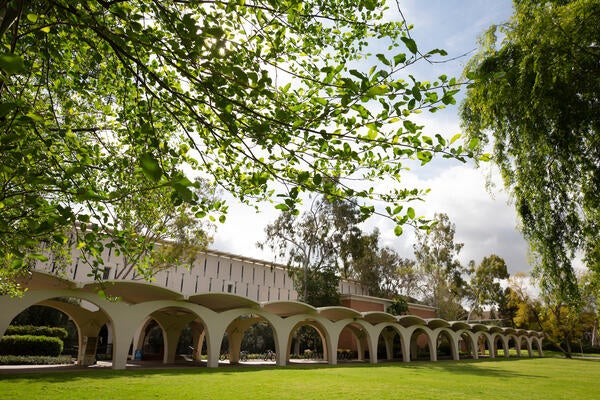 Rivera Library and lawn