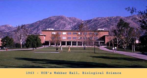 webber hall