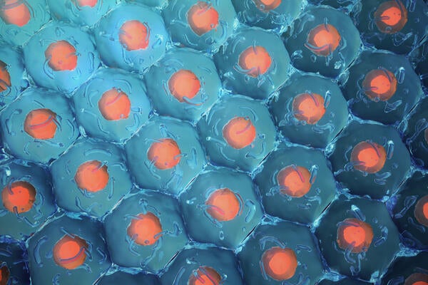 blue and red cells (c) iStock