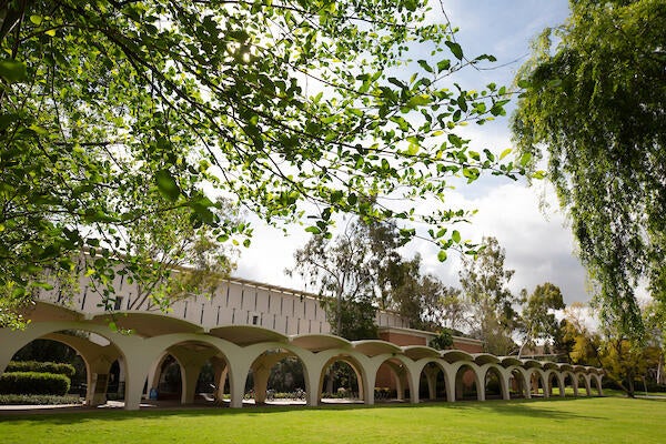 Rivera Library and lawn
