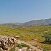 Sycamore Canyon Wilderness Park Trail