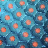 blue and red cells (c) iStock